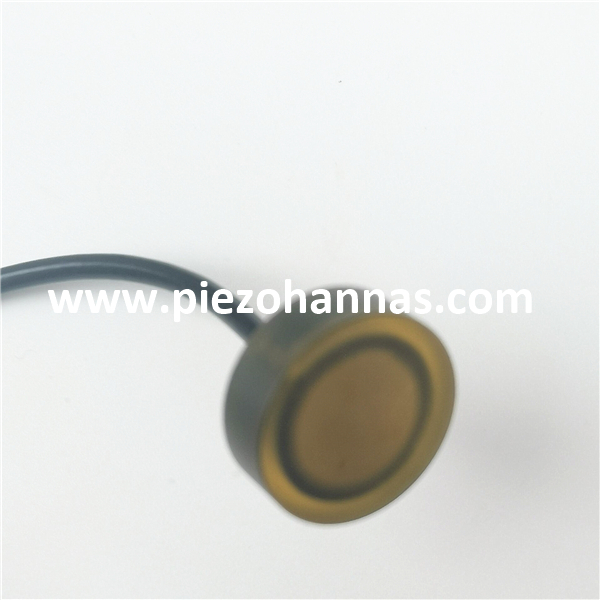 5MHz sous-marin Transducteur ultrasonique Velocim&egrave;tre Doppler Adv