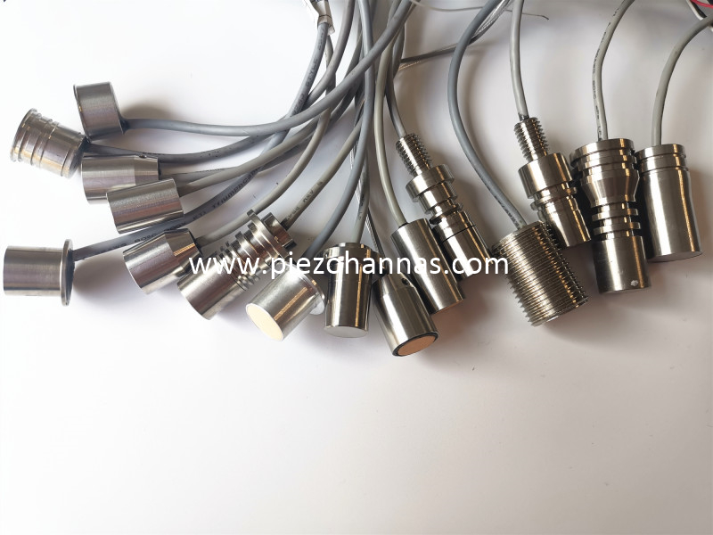 Ch&eacute;rie en alliage en titane 200 kHz Transducteur &agrave; ultrasons pour le d&eacute;bitm&egrave;tre de gaz &agrave; ultrasons