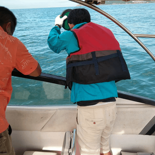 Comment Piezo est devenu une marque globalement bien connue