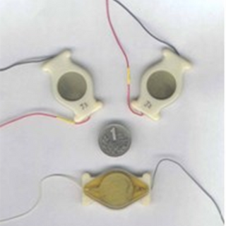 Géophone à capteur acoustique basse fréquence pour la détection sismique