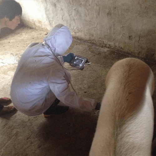 Dix questions sur les disques et les cylindres piézores dont vous devriez répondre honnêtement