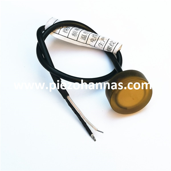 Profondeur du transducteur &agrave; ultrasons sous-marine &agrave; 2 MHz pour le chercheur &agrave; ultrasons