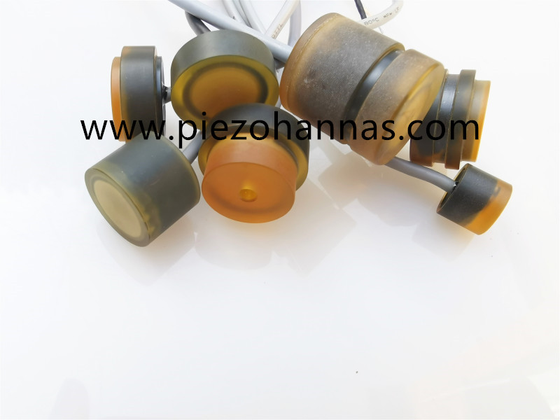 Transducteur de d&eacute;bitm&egrave;tre ultrasonique sous-marine &agrave; 1 MHz pour le d&eacute;bitm&egrave;tre &agrave; ultrasons