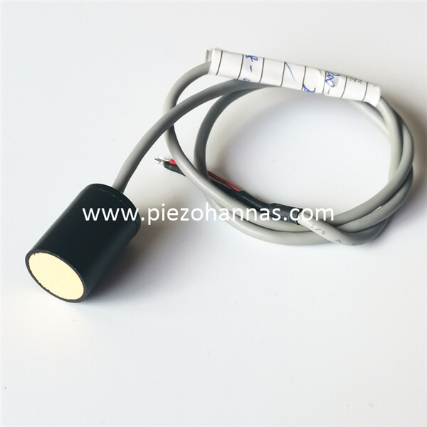 Transducteur &agrave; ultrasons &agrave; 200 kHz pour capteur d'an&eacute;mom&egrave;tre &agrave; ultrasons