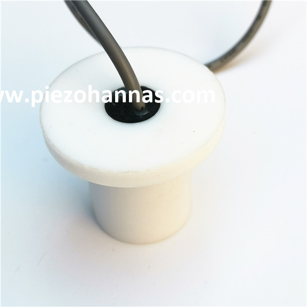 Flowm&egrave;tre ultrasonique du transducteur ultrasonique sous-marine &agrave; 2 MHz