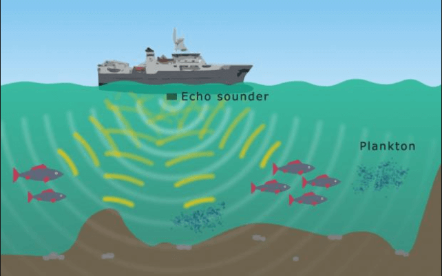 4 $ (x42u1z @ f) t% 8} 362 [% @ q (1)